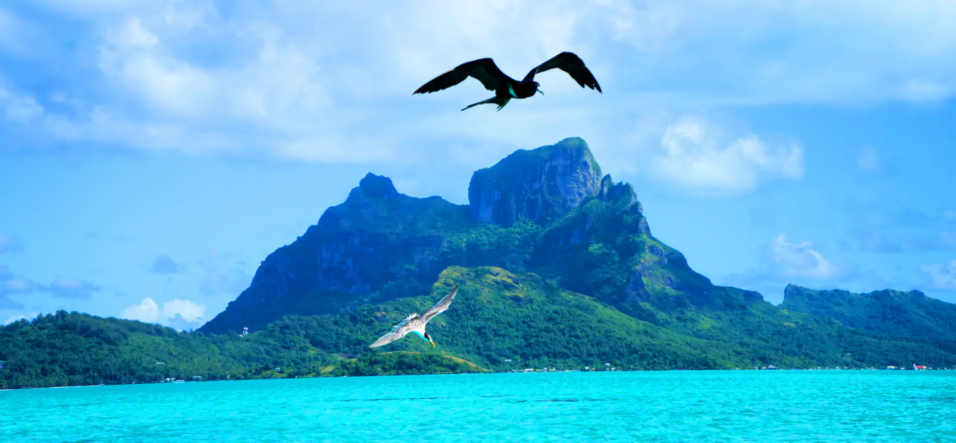 Bora Bora French Polynesia panoramio