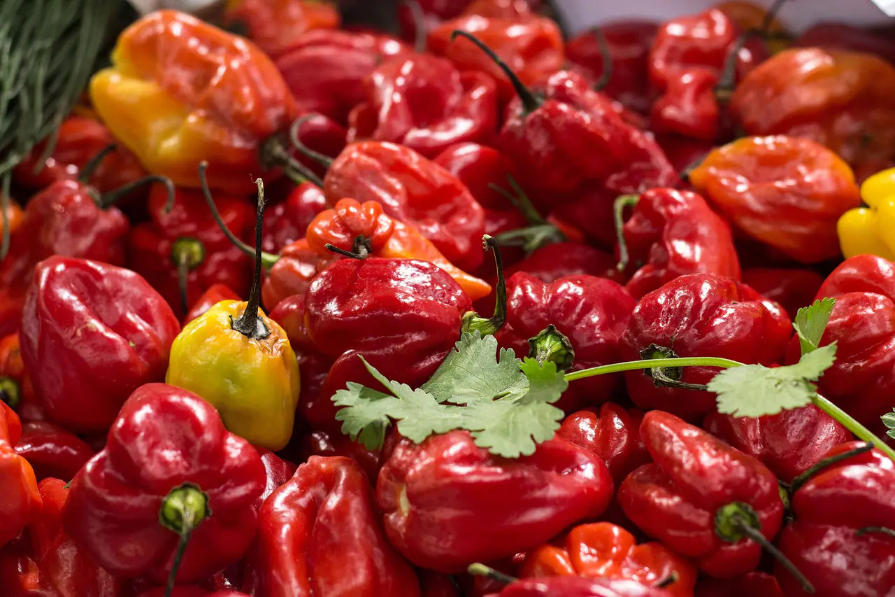 Borough Market-29