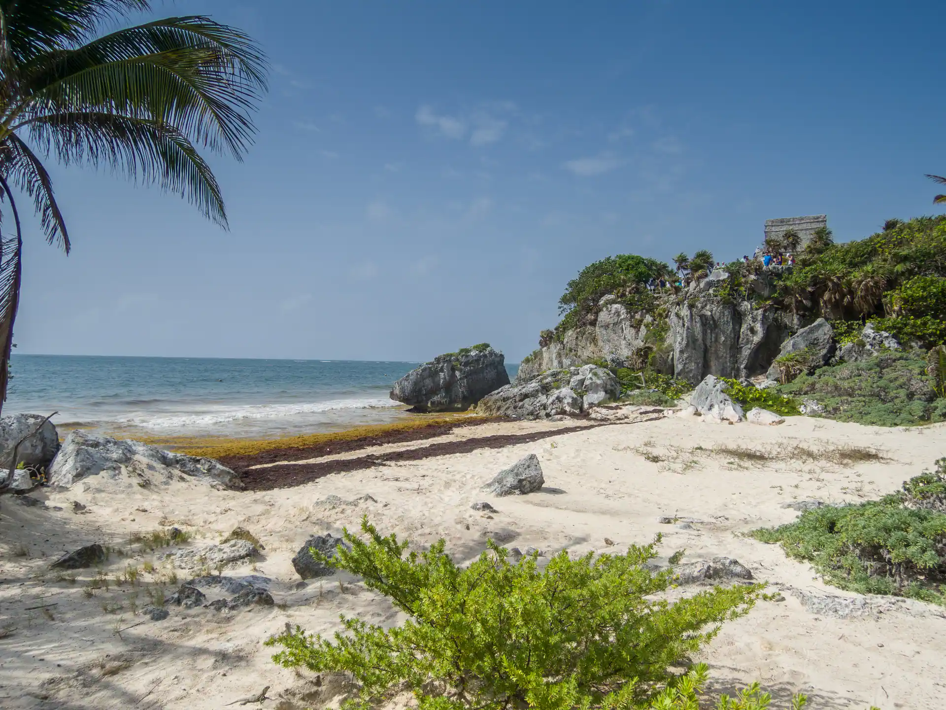 Tulum maya ruins mexico turtle beach — riviera maya