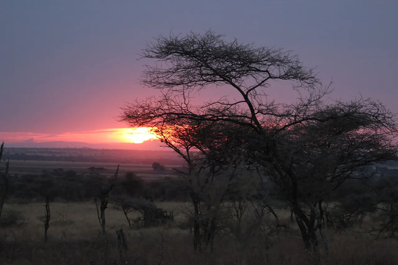 Serengeti Sunrise, Tanzania
