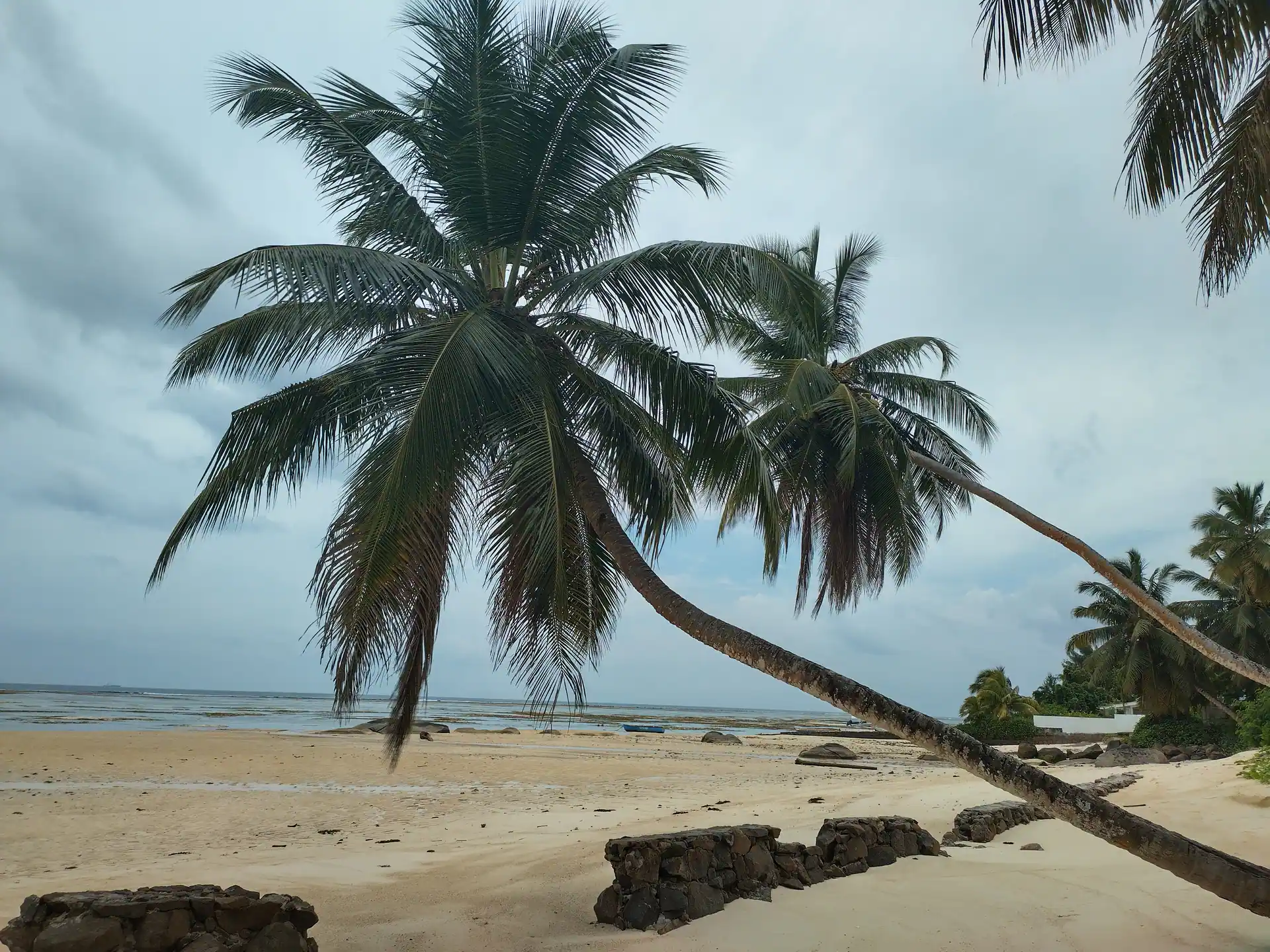 Typically view of Seychelles beach (islands of Mahe)