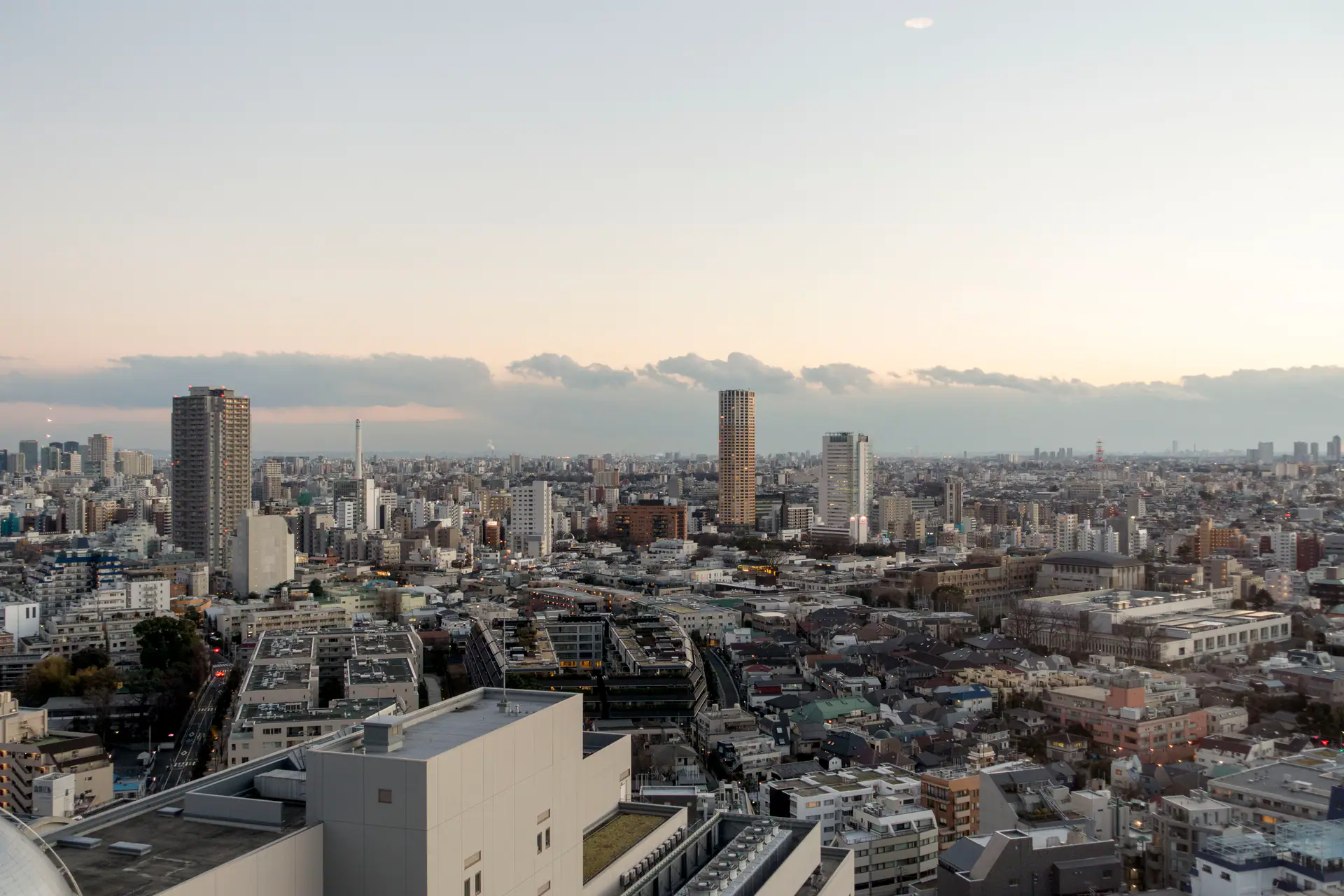 2015 01 17 Skyline in Tokyo